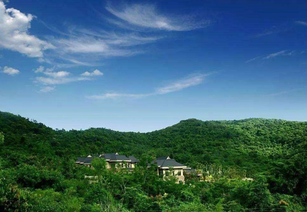 農(nóng)林業(yè)包括哪些行業(yè) ，注冊海南公司新優(yōu)惠政策.jpg